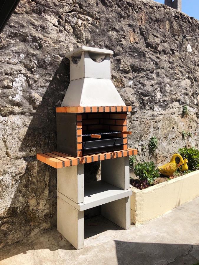 Casa Milheiro - Sunny Garden In Porto Holiday home